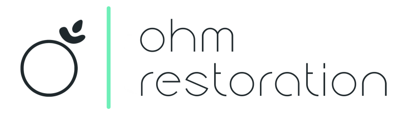 Ohm Company Logo